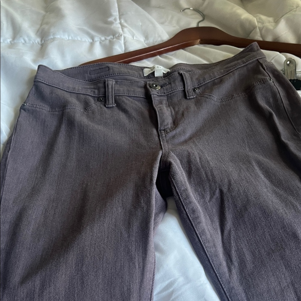 LILA RYAN Women's lavender Straight Leg Jeans